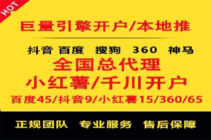 SEM公司案例分析：搜索引擎优化策略与执行